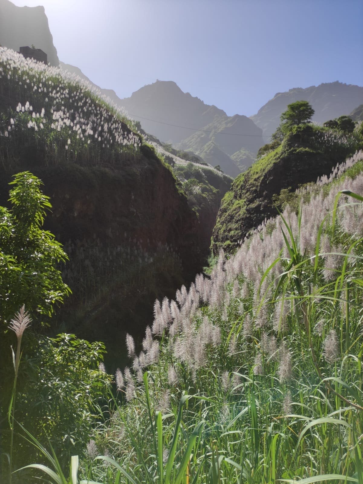 Paysage de Santo Ant├úo, Cap-Vert